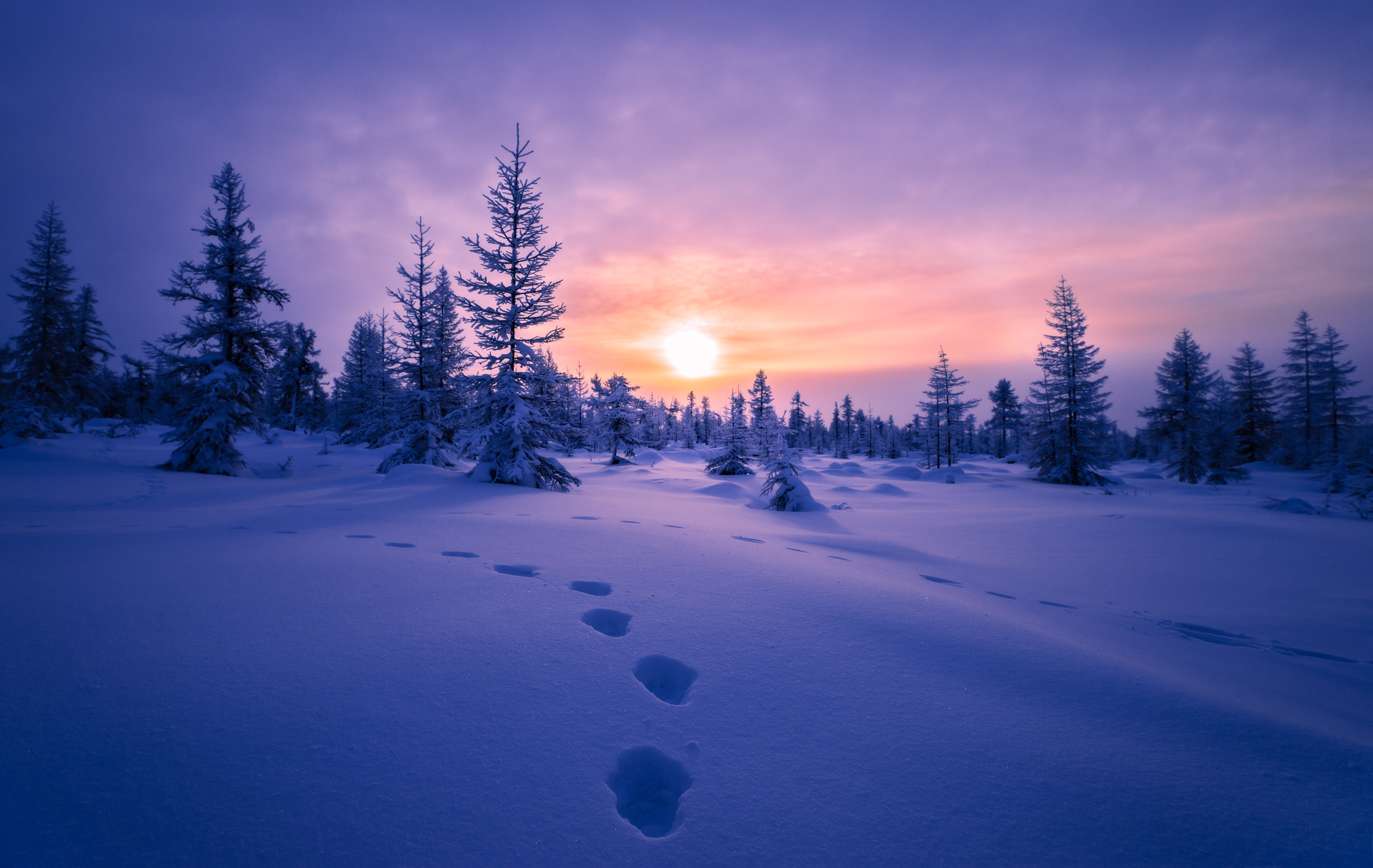 Winter landscape with forest, cloudy sky and sun